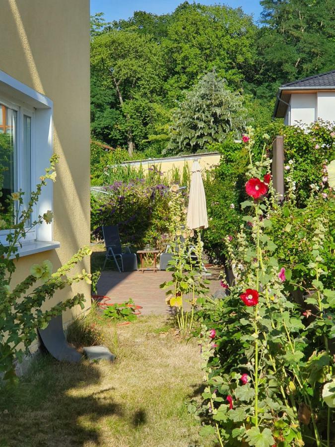 Ferienwohnung Paul Zinnowitz Exterior foto