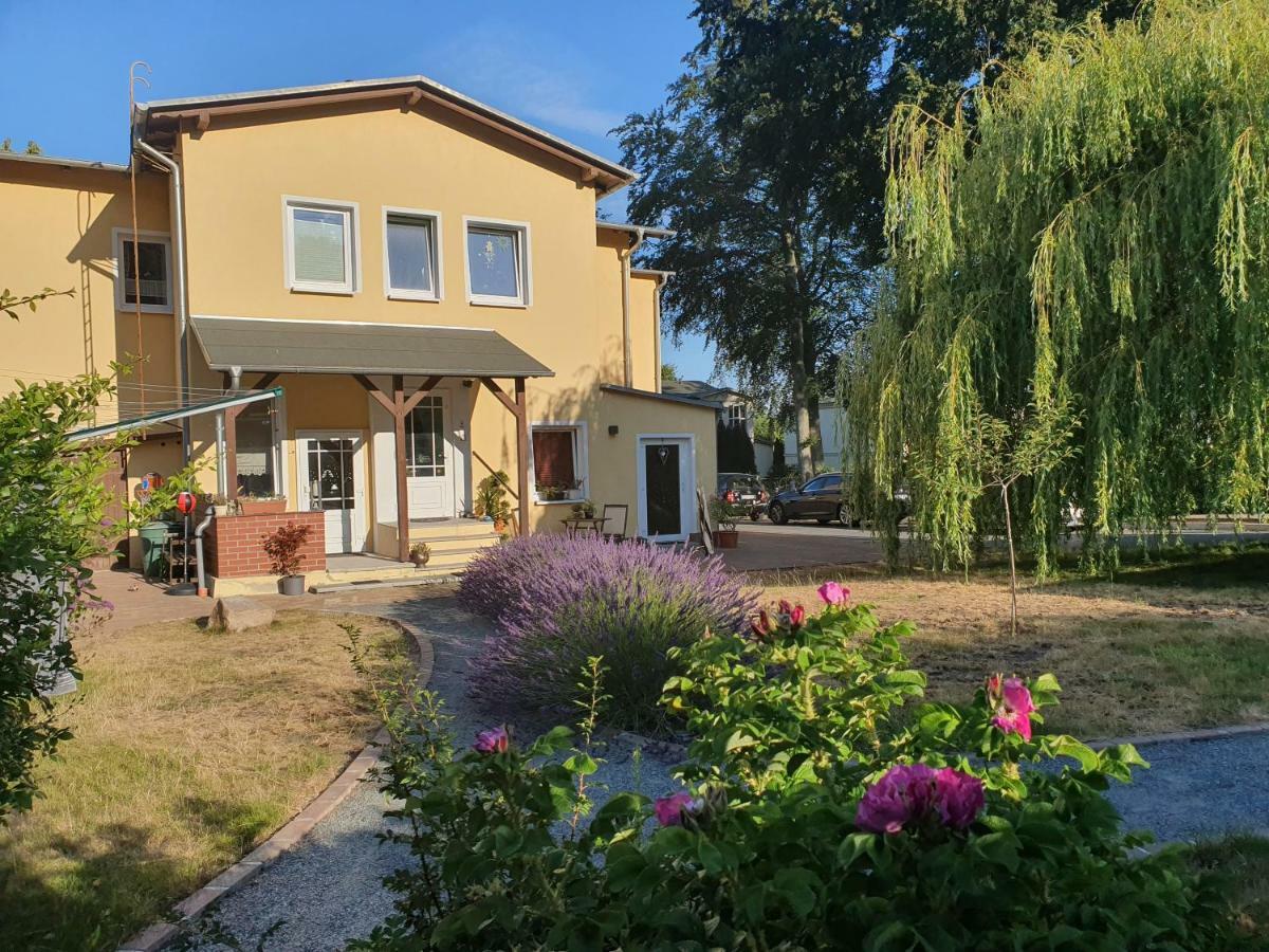 Ferienwohnung Paul Zinnowitz Exterior foto